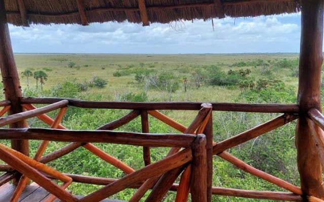 Private 3 Islands Boat Tour around Holbox photo 10