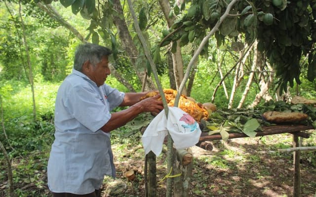 Private Chichen Itza & Yaxunah Ruins with Cenote photo 8