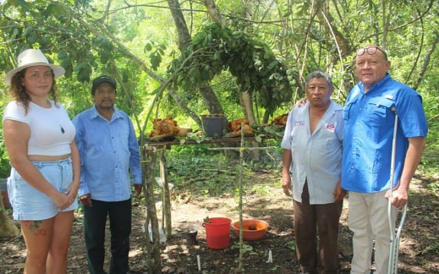 Private Chichen Itza & Yaxunah Ruins with Cenote photo 12
