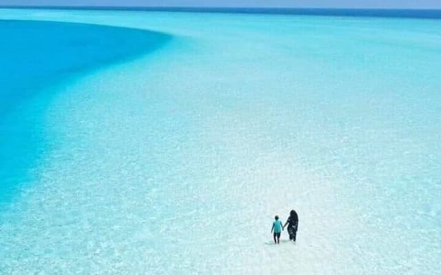 Incredible Holbox Island Tour Punta Mosquito only from Tulum photo 2