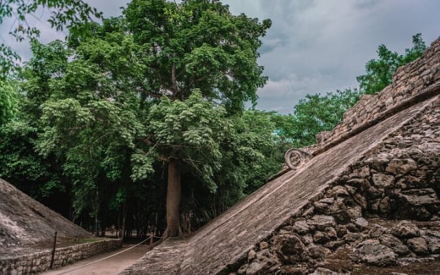 Deluxe Mayan Day to Tulum, Coba & Cenote from Tulum City photo 8