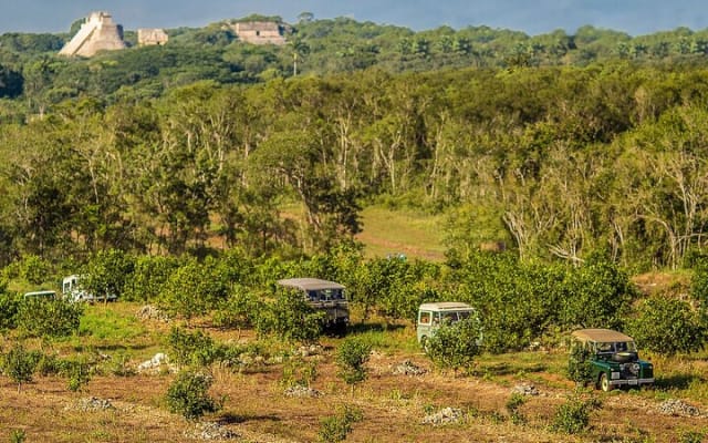Private Safari Land Rover Vintage Tour Uxmal Ruins & Mayan Brunch photo 6