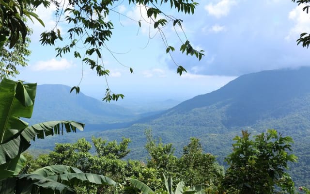 3 Levels of Huatulco the coffee you've been looking for