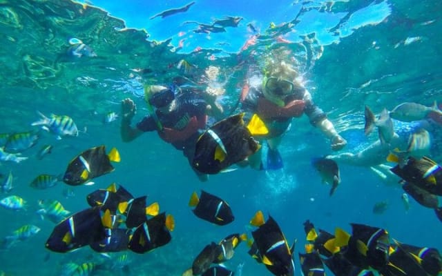 Puerto Vallarta: Tour privado a la playa de Yelapa y snorkel en yate photo 6