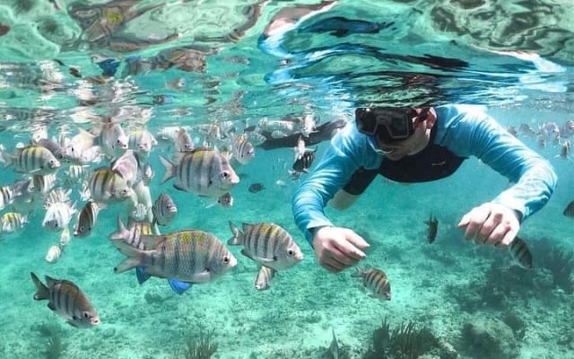 Catamaran Cruise in Riviera Maya With Snorkeling & Beach Club photo 14