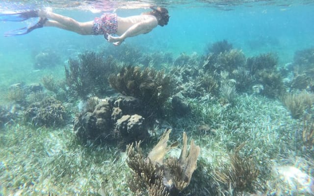 El Cielo the Breathtaking Snorkel Tour of Cozumel Cielito Beach & Lunch Included photo 9