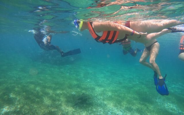 Reef Snorkeling with ATV, Zipline, Cenote that includes lunch and transportation photo 2