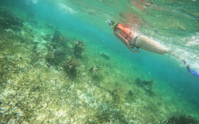 Reef Snorkeling with ATV, Zipline, Cenote that includes lunch and transportation photo 5