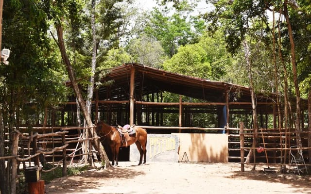 Horseback Riding and ATV in Riviera Maya Jungle photo 14