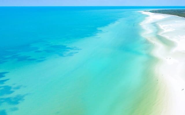 The best of Holbox from Tulum photo 3