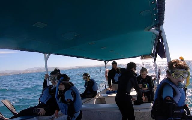 Nage avec les requins-baleines : petit groupe avec biologiste marin photo 3