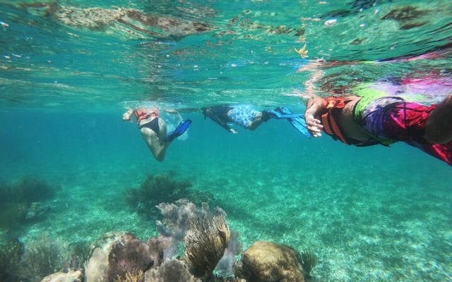 Reef Snorkel, underwater adventure in Puerto Morelos With Transportation & Lunch photo 10
