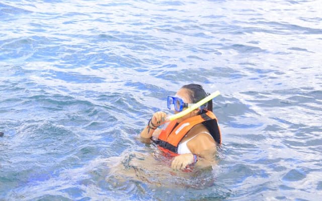 Reef Snorkel, underwater adventure in Puerto Morelos With Transportation & Lunch photo 14