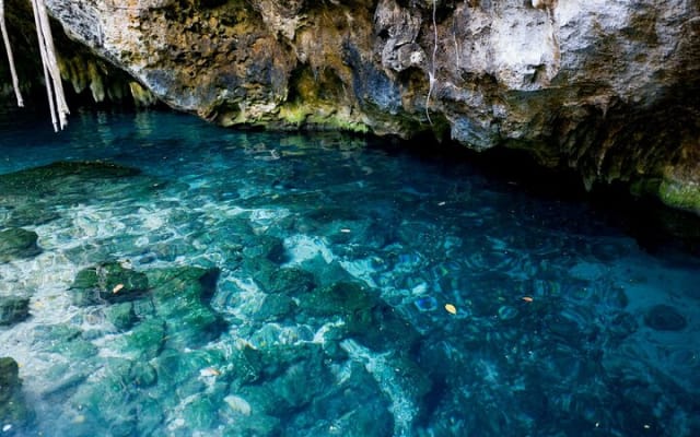 Discover the nature wonders of Tulum and the archaeological site. Lunch included photo 10