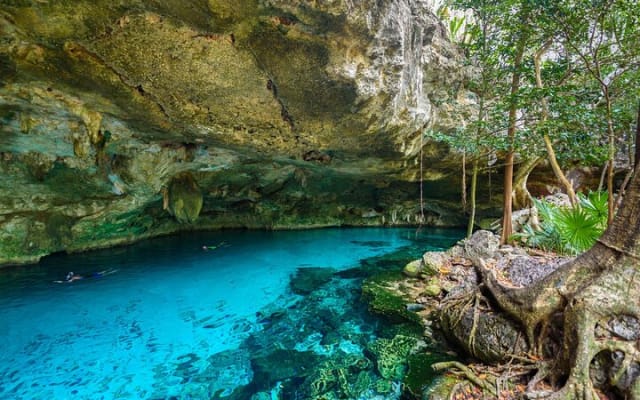 Discover the nature wonders of Tulum and the archaeological site. Lunch included photo 14
