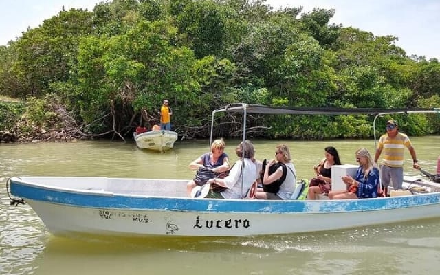 Explore Las Coloradas & Rio Lagartos, Full Day only from Tulum photo 15