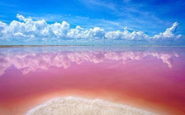 Explore Las Coloradas & Rio Lagartos, Full Day only from Tulum photo 4