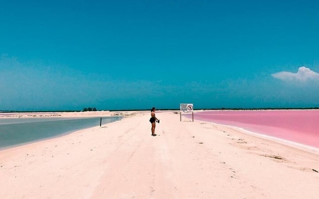 Explore Las Coloradas & Rio Lagartos, Full Day only from Tulum photo 5