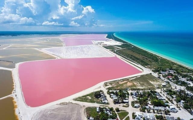 Explore Las Coloradas & Rio Lagartos, Full Day only from Tulum photo 3