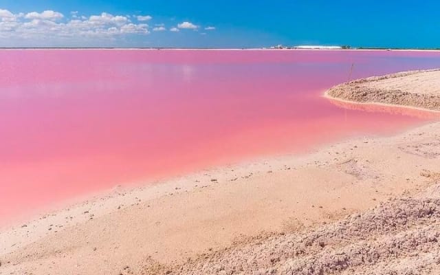 Explore Las Coloradas & Rio Lagartos, Full Day only from Tulum photo 7