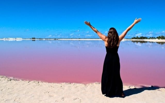 Explore Las Coloradas & Rio Lagartos, Full Day only from Tulum photo 2