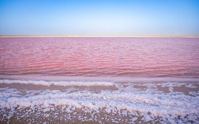 Aventure à la lagune rose de Las Coloradas depuis Playa del Carmen et la Riviera Maya photo 12