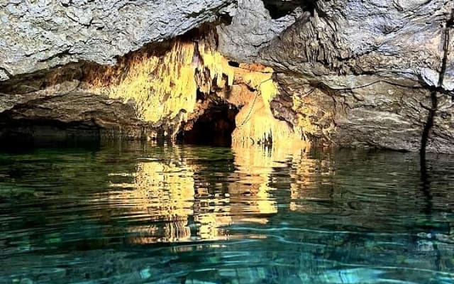 Full-Day Tulum Cenotes Dos Ojos and Gran Cenote Tour photo 4