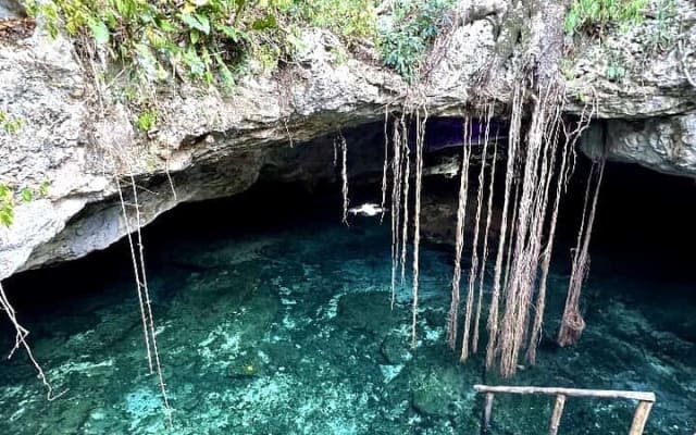 Tulum Full Day Tour with Taak Bi Ha Cenote and Sacred Cenote photo 8