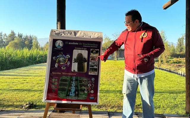 Mexico : Xochimilco au lever du soleil avec petit-déjeuner et transport photo 14