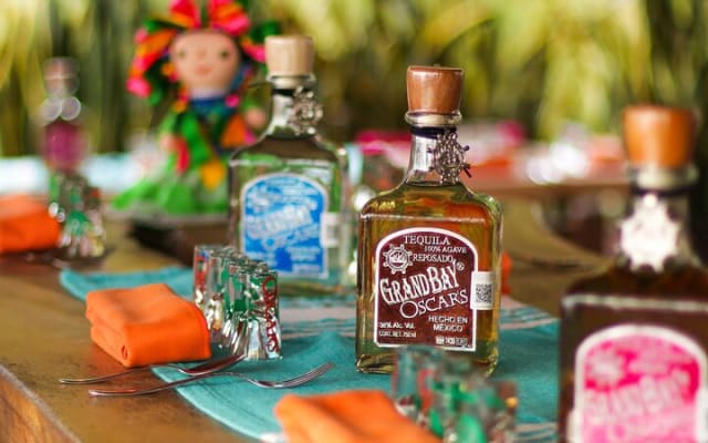 Premium Tequila Tasting Puerto Vallarta Distillery photo 7