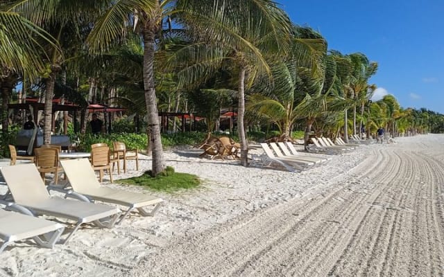 ENJOY UNIQUE CAMEL RIDE in Puerto Morelos with Transportation photo 14