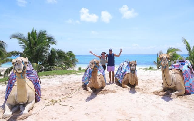 ENJOY UNIQUE CAMEL RIDE in Puerto Morelos with Transportation photo 4
