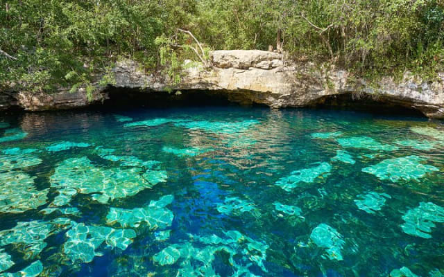 Half Day Private Snorkeling with Turtles and Majestic Cenotes photo 4