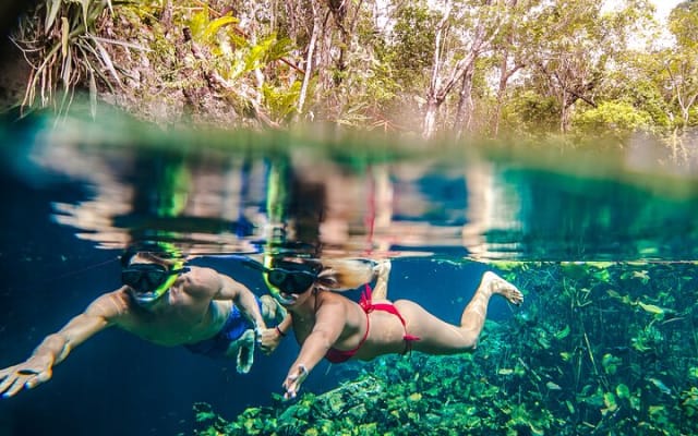 Half Day Private Snorkeling with Turtles and Majestic Cenotes photo 5