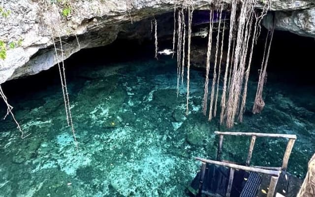 Full-Day Tulum Cenotes Dos Ojos and Gran Cenote Tour photo 6
