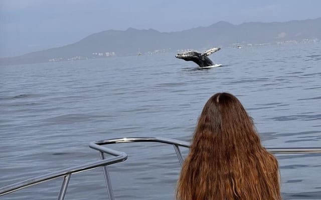 Private Yacht, Sightseeing, Snorkeling and Private beaches photo 6