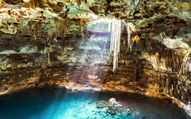 Snorkeling Combo 3 x 1 Lagoon Cenote Reef with Tulum Temples photo 3