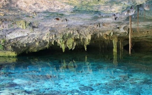 Half Day Horseback Riding Adventure with Cenotes in the Jungle photo 4