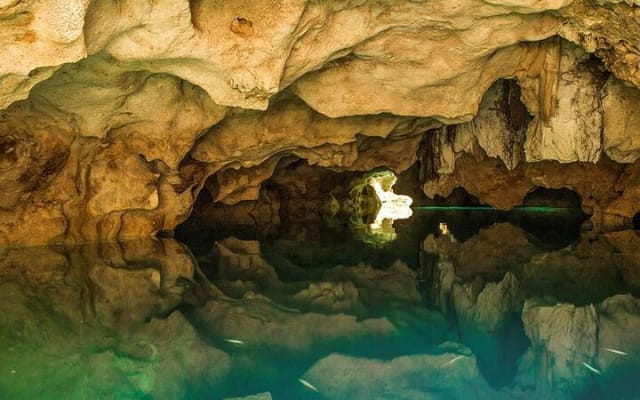 Half Day Horseback Riding Adventure with Cenotes in the Jungle photo 7