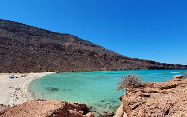 Espíritu Santo Island Small-Group Snorkel and Sightseeing Tour