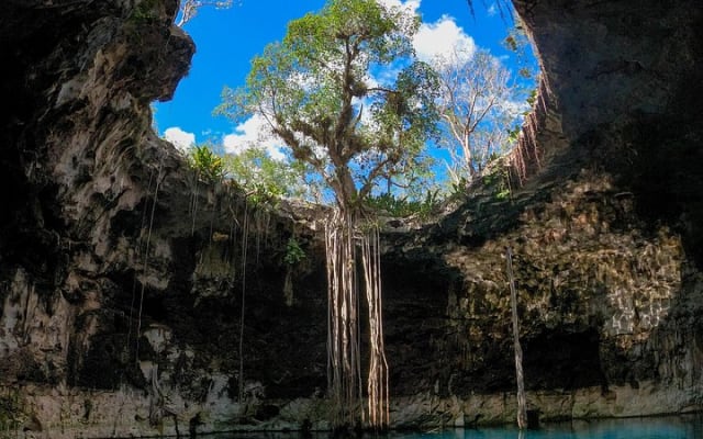 4 Cenotes Full Day Tour from Merida