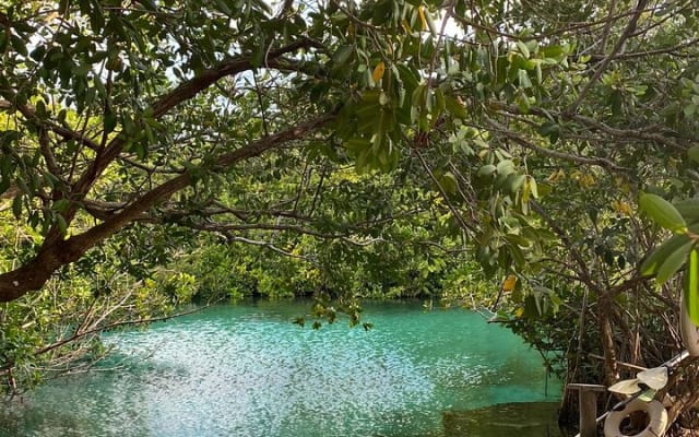 Small-Group 3 Cenotes Adventure Tour photo 6