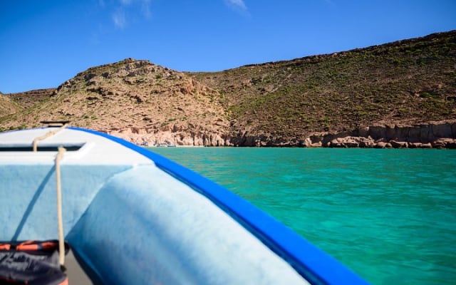 Excursion en petit groupe avec snorkeling et visite de l'île Espíritu Santo photo 9