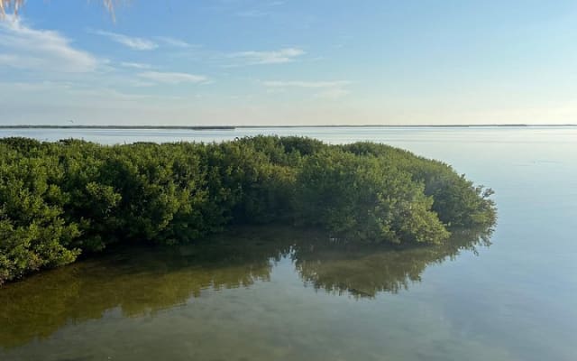 Eco Classic Tour Holbox photo 9