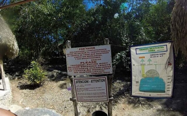 3 Cenotes & Hidden Lagoon Tour from Tulum photo 8