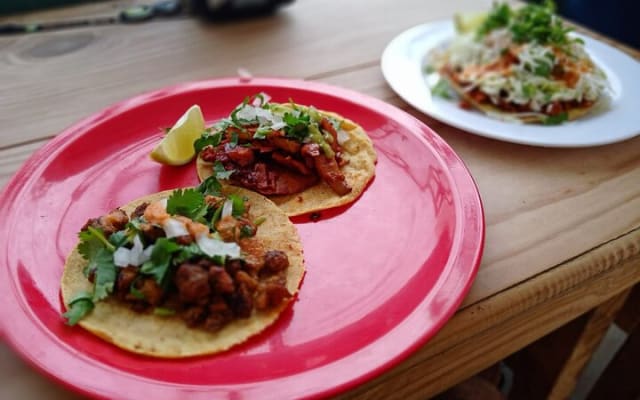 Tulum Vegan Food Tour photo 11