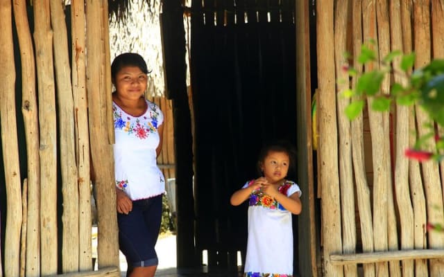 Tulum Eco-Adventure: Cenotes, Zip-lines & Mayan Lunch photo 4