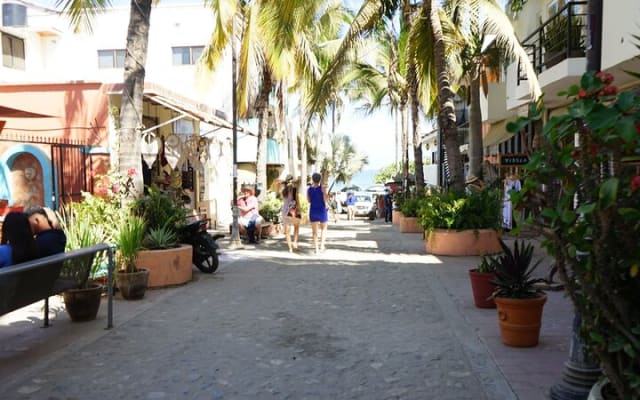 Excursion privée d'une journée complète à Sayulita photo 6