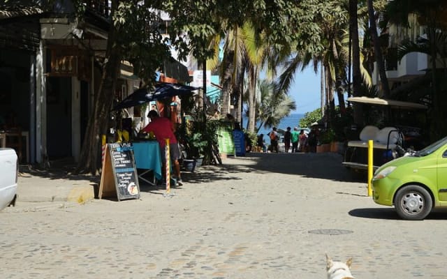 Excursion privée d'une journée complète à Sayulita photo 9
