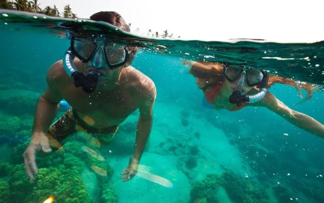 Tulum Snorkeling Experience in Front of the Mayan Ruins photo 5